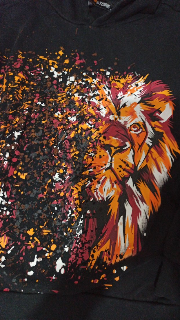 Erkek Siyah Aslan Baskılı Kapüşonlu Sweatshirt - Görsel 2