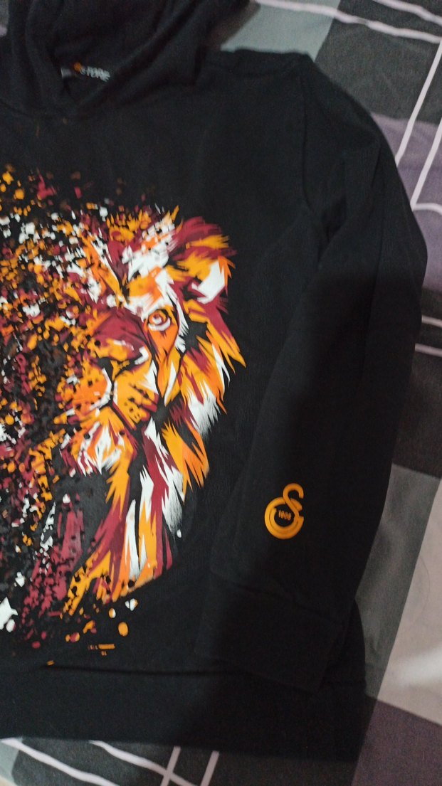 Erkek Siyah Aslan Baskılı Kapüşonlu Sweatshirt - Görsel 4