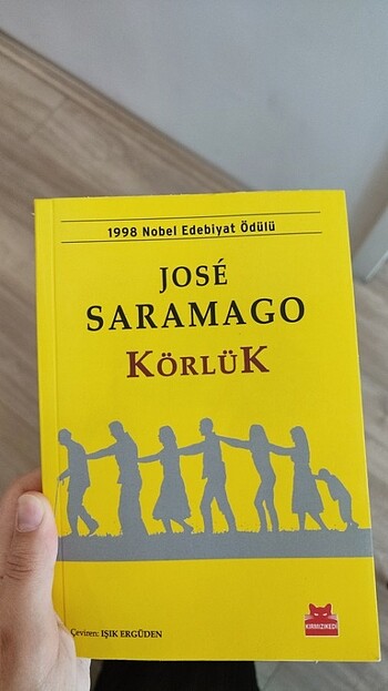 Körlük romanı