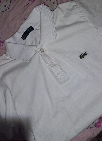 LACOSTE beyaz polo yaka