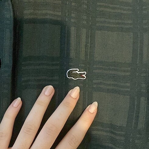 Lacoste ORJINAL LACOSTE GOMLEK