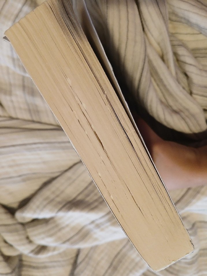 Joanne M. Harris - Loki'nin Müjdesi ve Sözü - Görsel 4