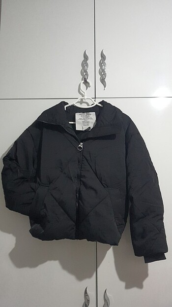 bershka mont