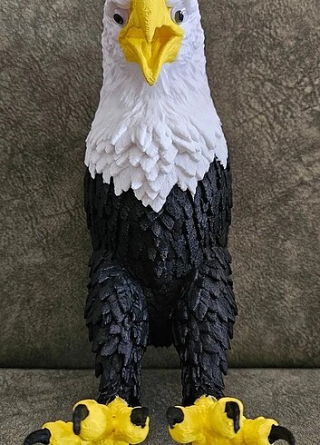 Kartal Lamba