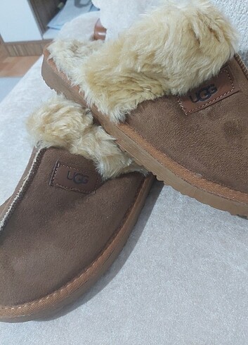 Ugg terlik - Görsel 2