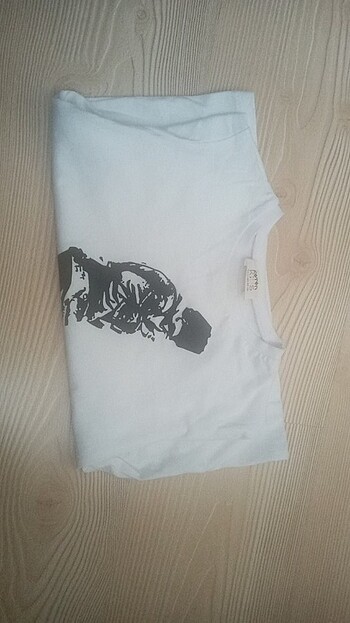 4 5 yaş Atatürk baskılı cocuk thsırt - Görsel 4