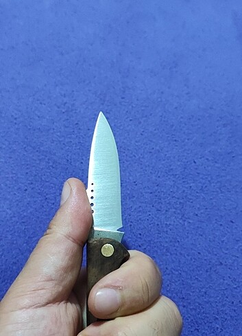 Diğer Kamp cakısı
