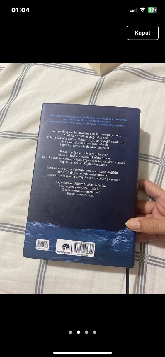 LORDLAR VE VARİSLER - N.G. KABAL - Görsel 2