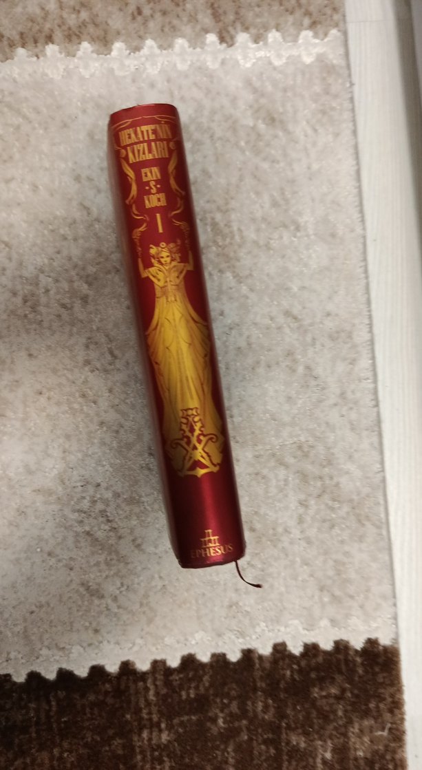 Aykate'nin Kızları - Ekin S. Koch - Görsel 3