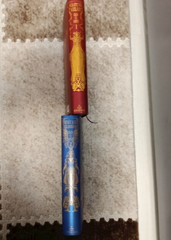 Deniz kızı ağladığında ve nezaketin kızları - Görsel 3