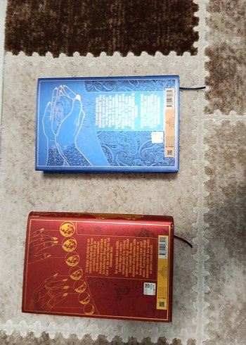 Deniz kızı ağladığında ve nezaketin kızları - Görsel 2