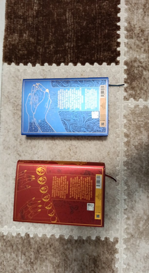 Deniz kızı ağladığında ve nezaketin kızları - Görsel 2