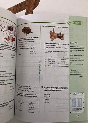 6. Sınıf gezegen soru bankasi seti - Görsel 5
