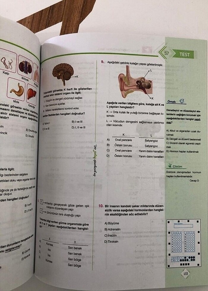 6. Sınıf gezegen soru bankasi seti - Görsel 5