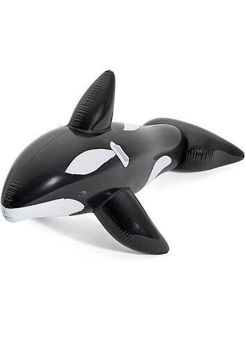 Balina yüzme yardımcısı - Görsel 2