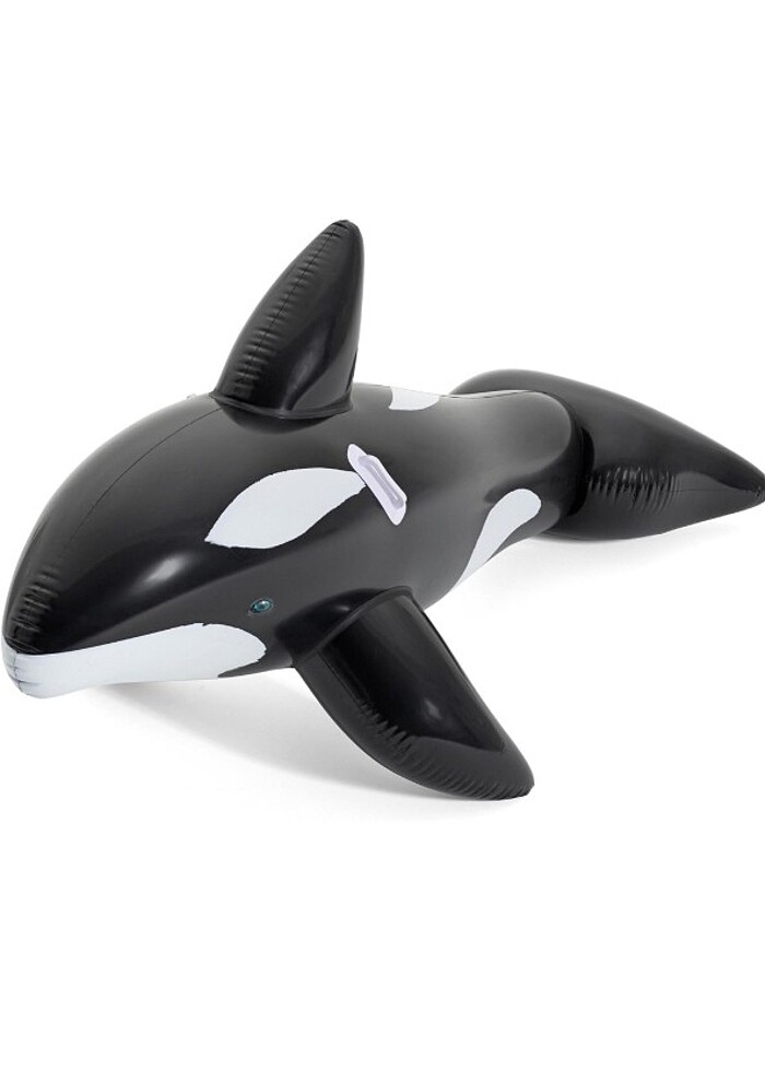 Balina yüzme yardımcısı - Görsel 2