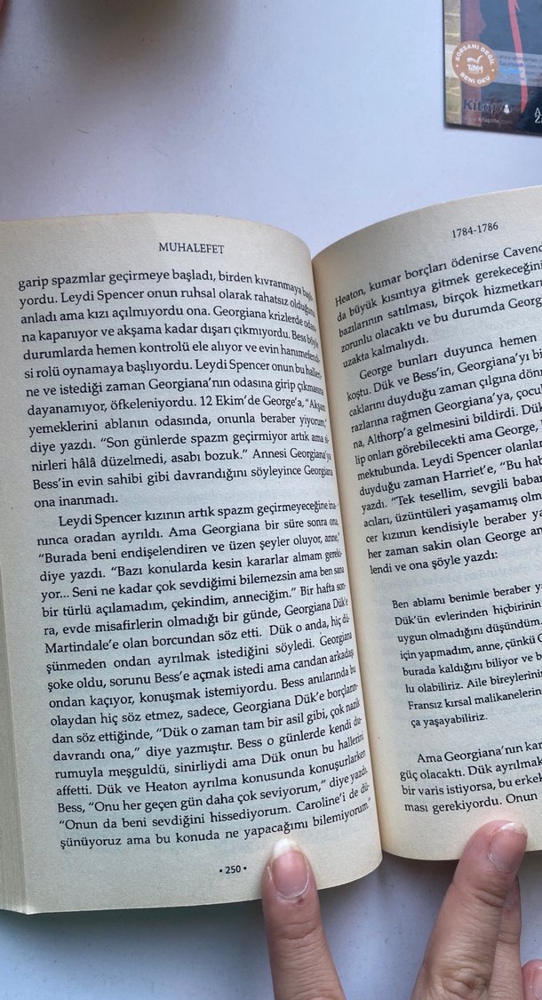 Düşes - Amanda Foreman - Görsel 3