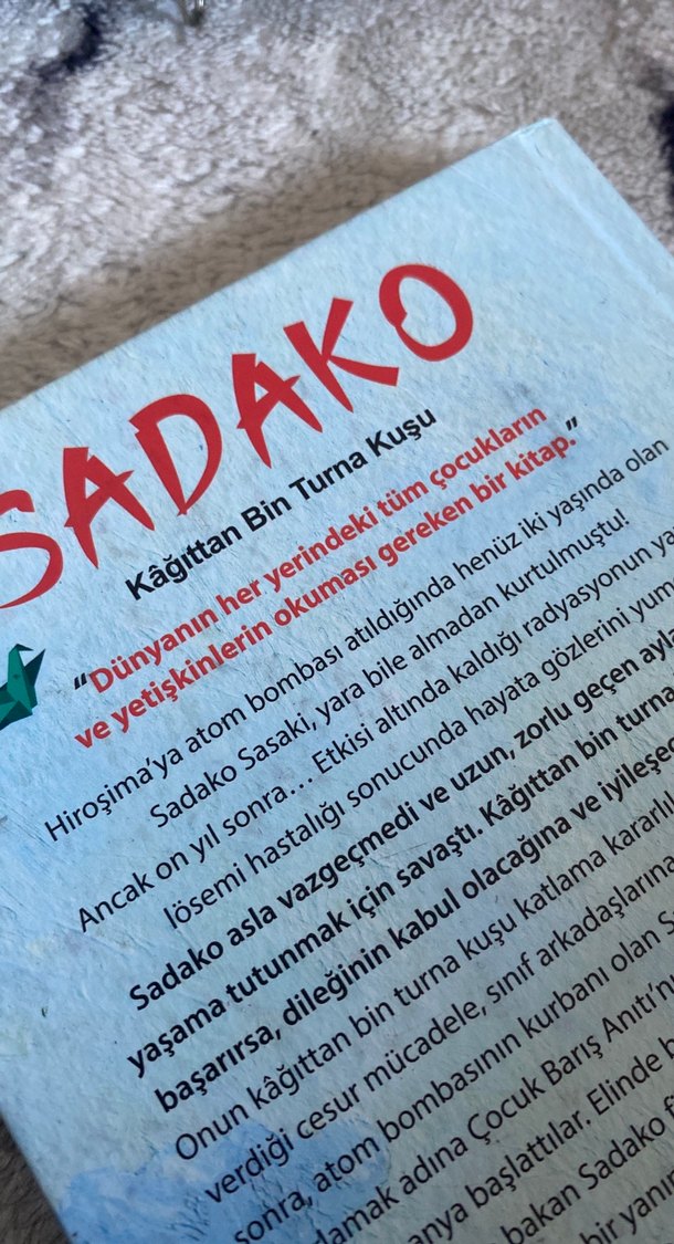 Sadako - Cesaret ve Umut Hikayesi - Görsel 3