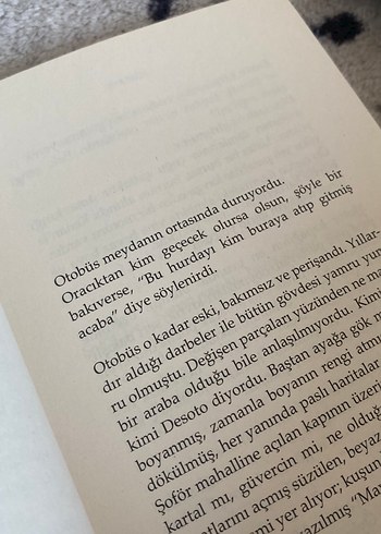 Mavi Kuş - Mustafa Kutlu - Görsel 2