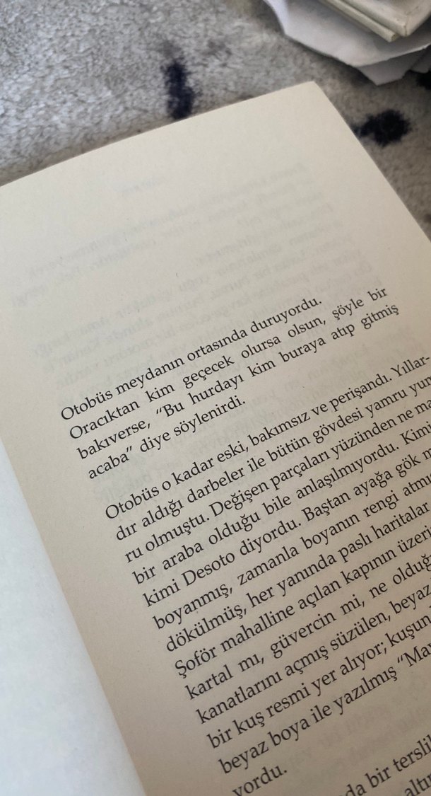 Mavi Kuş - Mustafa Kutlu - Görsel 2