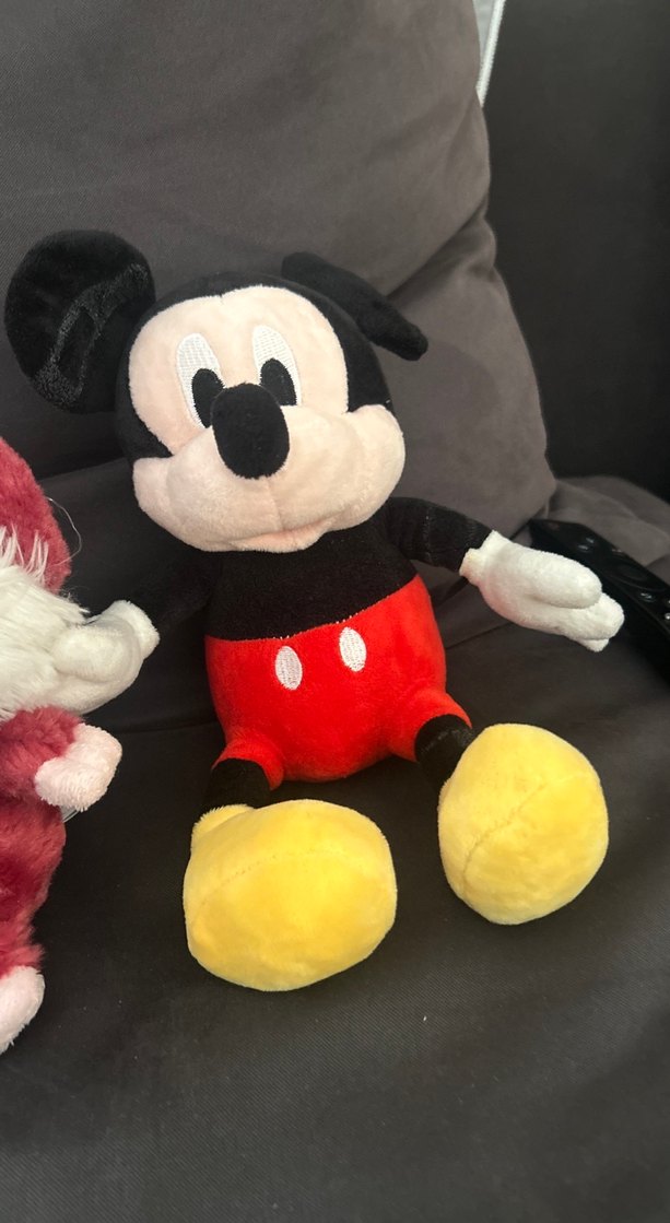 Çok Renkli Peluş Oyuncak Seti - Görsel 5