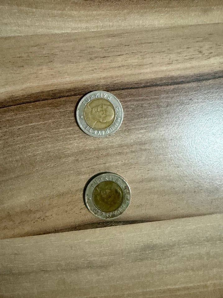 Madeni Yeni Türk 1 Lirası - Görsel 2