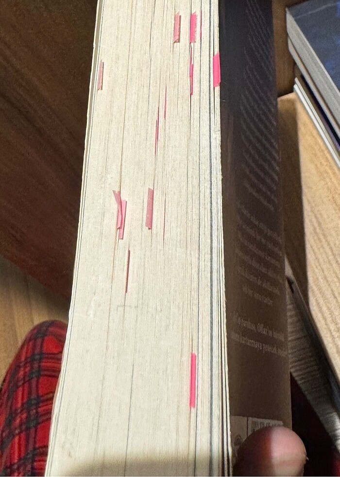 Kimse gerçek değil - Görsel 4