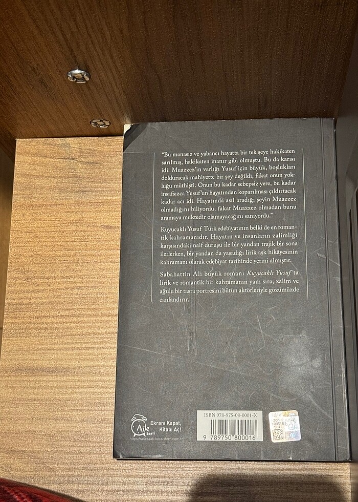 Kuyucaklı Yusuf - Görsel 2