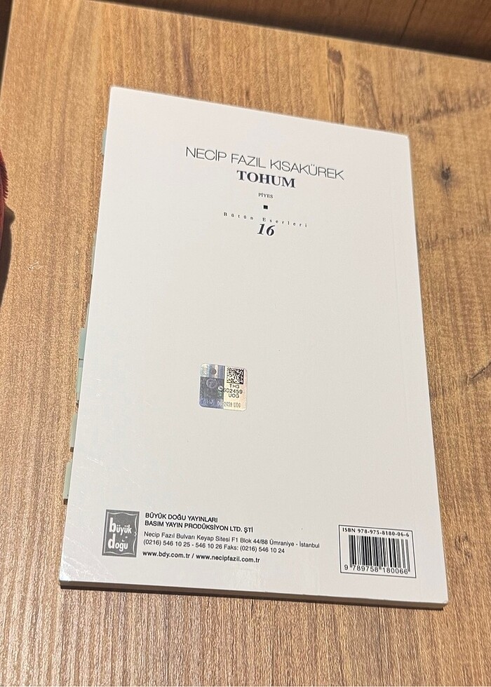 Tohum Necip Fazıl - Görsel 2