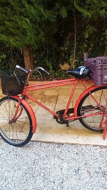  Beden Antika bisan