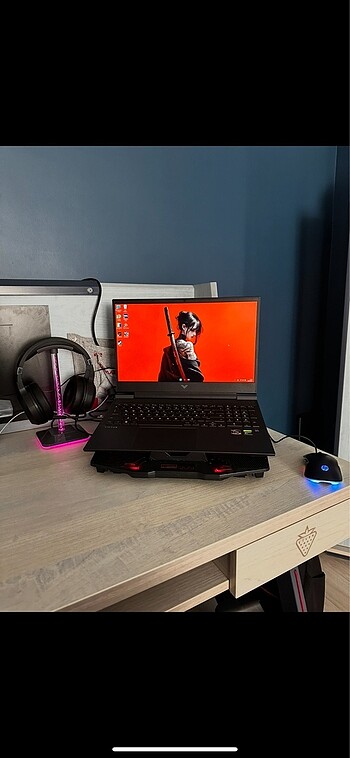 Hp HP VICTUS BİLGİSAYAR YANINDA SETUP VERİLİR