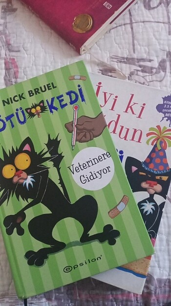 Kötü Kedi Kitap Serisi