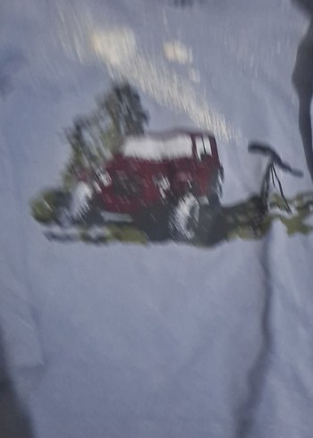 Erkek Çocuk Gri Baskılı Sweatshirt - Görsel 2