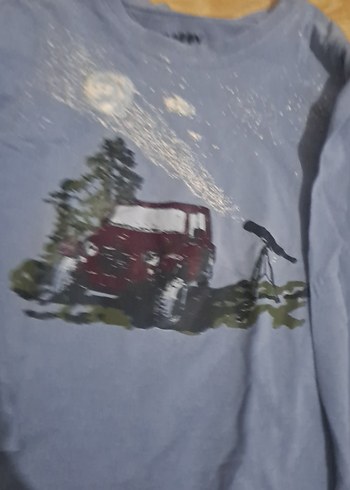 Erkek Çocuk Gri Baskılı Sweatshirt - Görsel 3