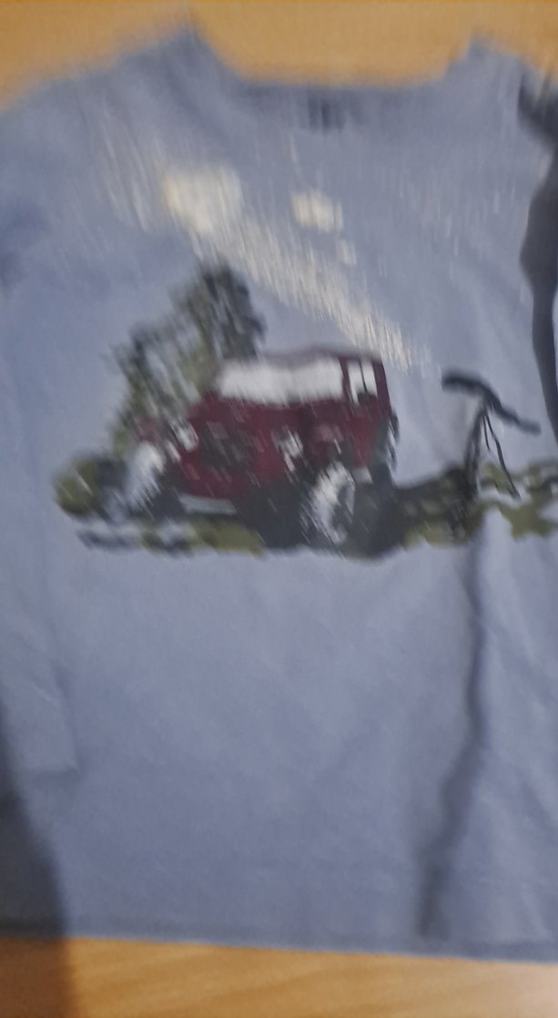 Erkek Çocuk Gri Baskılı Sweatshirt - Görsel 2