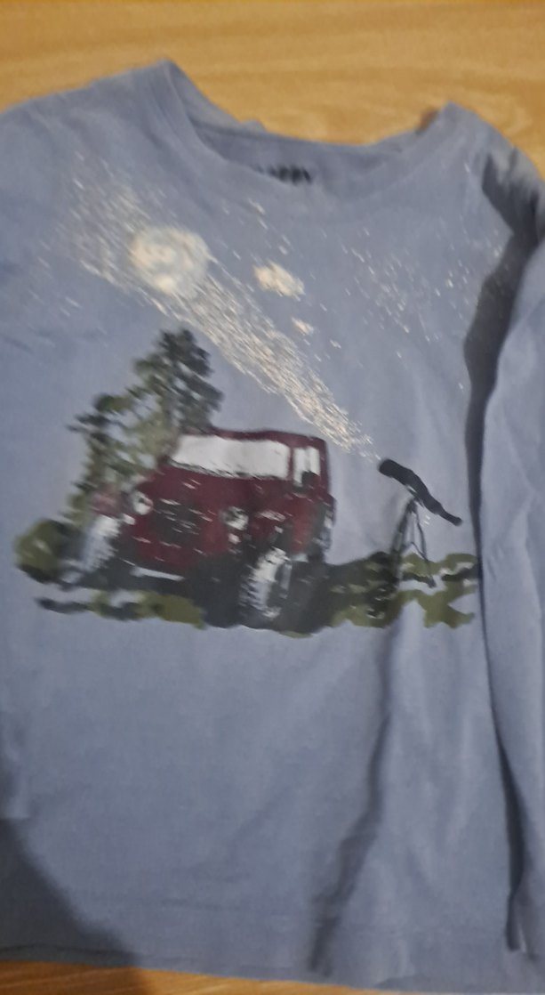 Erkek Çocuk Gri Baskılı Sweatshirt - Görsel 3