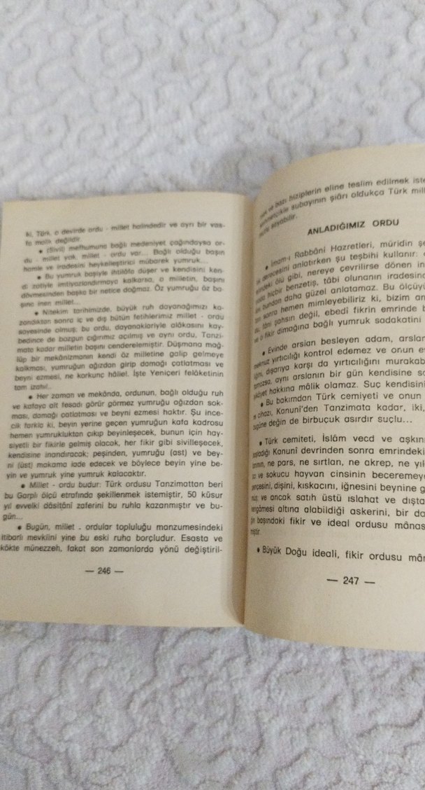 İdeolocya Örgüsü - Necip Fazıl - Görsel 4