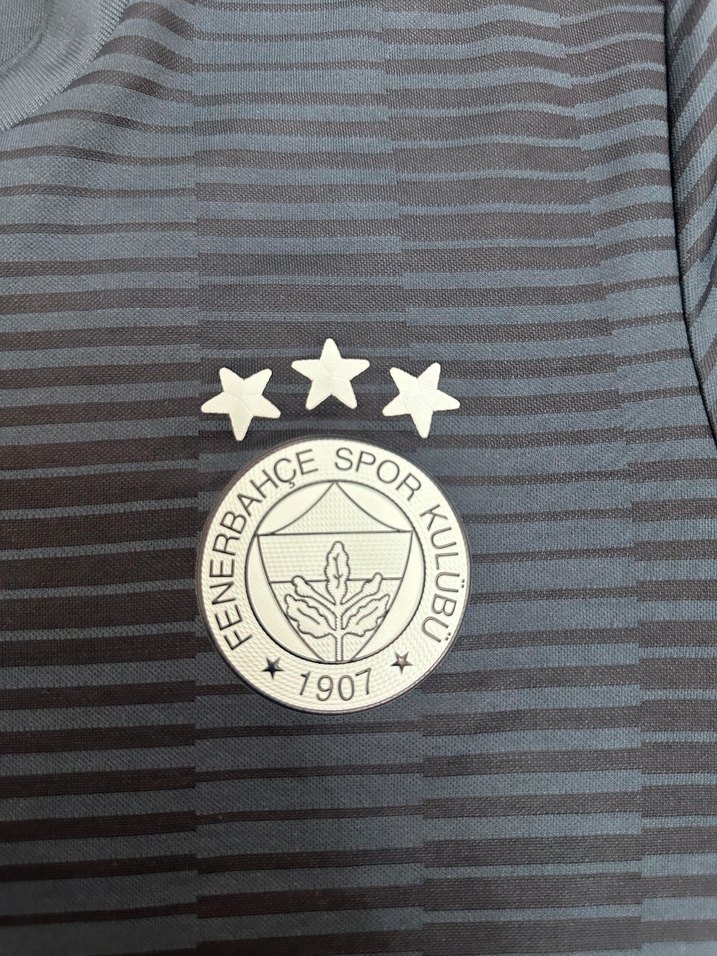 Mavi renk Fenerbahçe erkek forma - Görsel 3