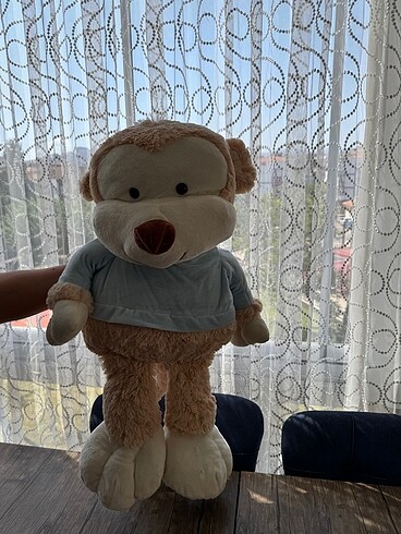 Peluş Ayıcık
