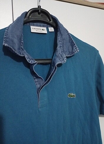 Lacoste thsirt