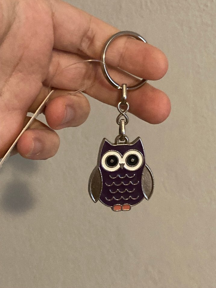 Sheforshe Baykuş Anahtarlık - Görsel 5