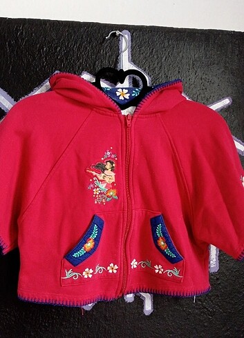 DİSNEY HIRKA 