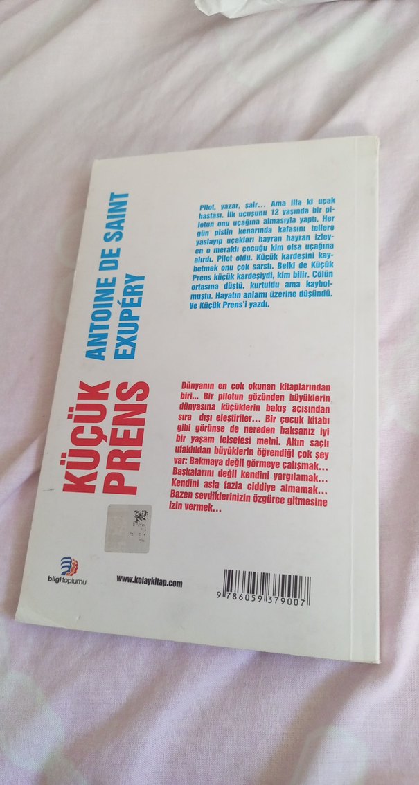 Küçük Prens - Özgün Çeviri - Görsel 2