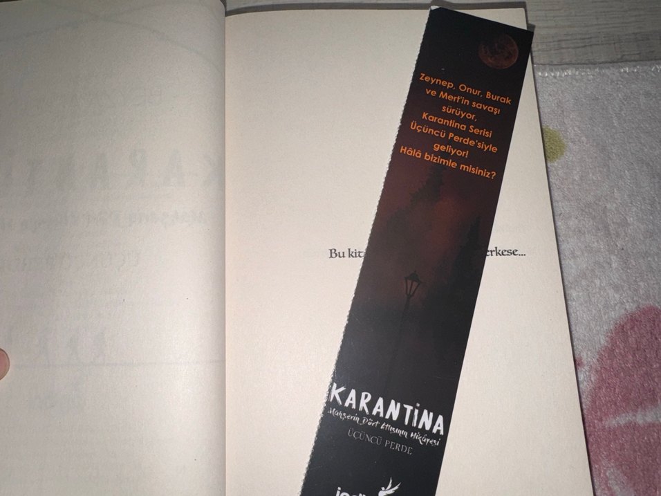 Karantina - Beyza Alkoç - Görsel 2