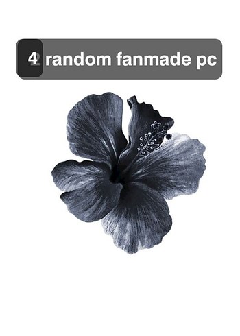 Diğer 4 Random Fanmade Photocard