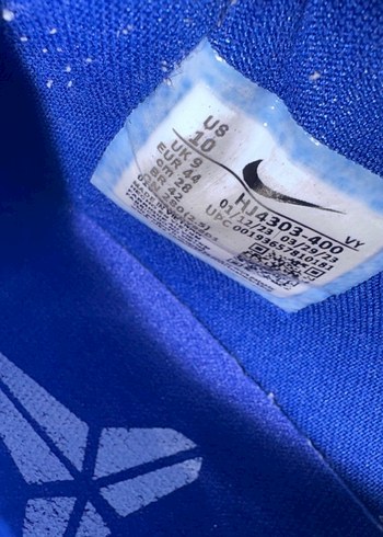 Kobe 5 x-ray - Görsel 5