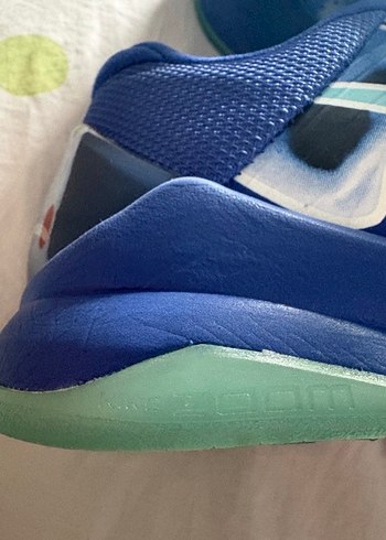 Kobe 5 x-ray - Görsel 4