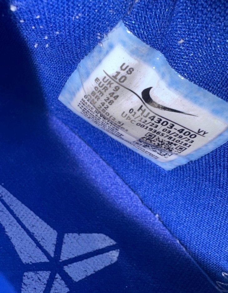 Kobe 5 x-ray - Görsel 5