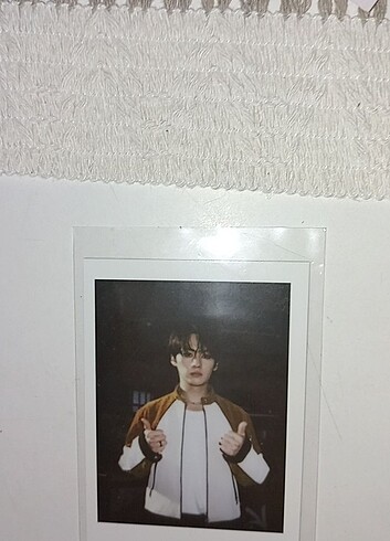 minho pola pc