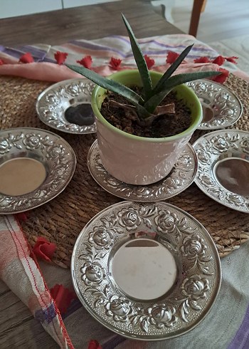 Parlak çay Tabak Seti - Görsel 2